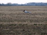 DSCF6192