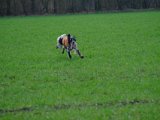 DSCF6220
