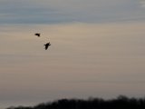 DSCF6232