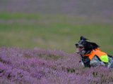 DSCF7144