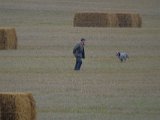 DSCF7182