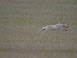 DSCF7186