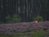 DSCF7187