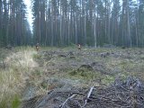 P1010633  næste såt