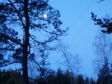 IMGP1492