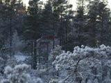 IMGP2339  så er der ik så langt, hus i sigte