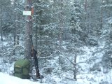 IMGP2365  efter fugl igen .. stopper ved elgpas v Franserbäcken