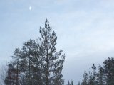 IMGP2377  månen på vej
