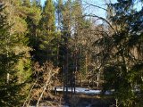 IMGP2674