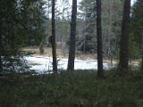 IMGP2721