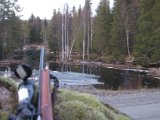 IMGP2784  Vores pass v Skåltjärnsbäkken