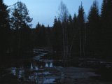 IMGP2786