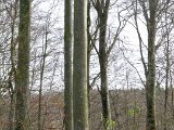 DSCF0728