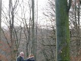 DSCF0732