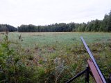 DSCF0366  Engen hvor bukken blev set evd modsatte skovbryn = 180m..glemt at slå sikring fra = /&¤%