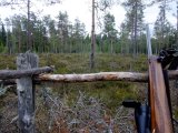 DSCF0449  1ste dag eft'middag..få 100m fron var jag fik föste ko sista året