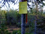 DSCF0457  2träf andra år .. men idag intet