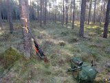 DSCF0475  Rishöjd.. senara, radio säger Kua+ Kalv ner åt hygge .. men kom inte i syn härr