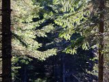DSCF0495