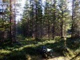 DSCF0496