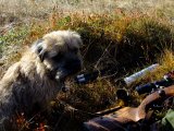 DSCF0529  ja
