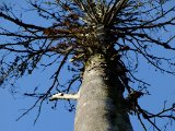 DSCF0537