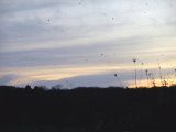 DSCF0792  Solen er nede