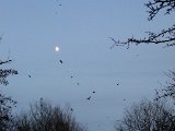 DSCF0796