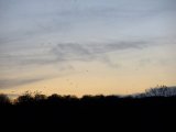 DSCF0811
