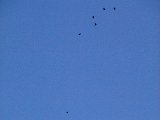 DSCF0812