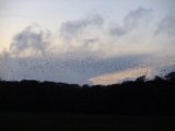 DSCF0821
