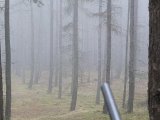 DSCF0892  og lige der 50m fremme var rådyr på 'stand' med 'bredside' til .. men ikke 220% sikker om det var en 'Torben' eller 'må godt'  = spring du bare .. den ventede lige til hundene var ca 100m fra den, så hoppende den roligt videre