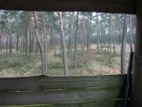 DSCF0908  Lige frem var 2 rådyr .. men ikke afgøre om 'Torben eller ej. TH havde en rotte ûberlaufere? eller? / men var førende so i mellem? de havde sovet ud og gik efter ca ½ time stille mod tætplantagen.. men så klumpet at de var 'oven i hinanden'.. enste der til sidst var fri havde kun enden til..så hop hop = alt væk ..