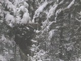 DSCF1081  Jo tätskog ä det