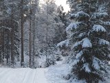 DSCF1048
