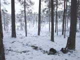 DSCF1063