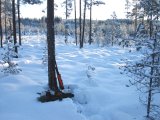 DSCF1154  åbne del af mosen