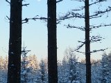DSCF1164