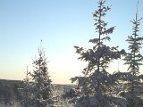 DSCF1182  Kig mod S i kraftigt lys