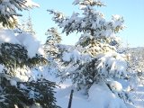DSCF1183