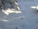 DSCF1184  Fjer!