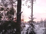 DSCF1224  Dagen går på held