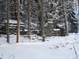 DSCF1239  Bastkullen.. efter 3 timer gå i løs dybsne/mose og tæt skov, m rygsæk, 2geværer og 2 kamerarer .. fandt også en ulve landevej der gik tæt op mod mosen ved huset..puh var lige så træt som efter et maraton