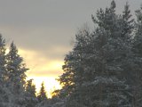 IMGP3088