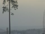IMGP3125  Björkhöjden i det fjerne tagte med zoom.. men ingen fugl