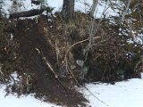 DSCF1364  Anden side af broen , også masser af slæb og 'køkkenaffald'