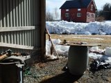 DSCF1388  Strefning af ræv i Påskesol