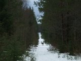 DSCF1414  Rå og lam ned ad demle jernbane