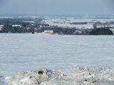 DSCF1290  isskorpe over det hele ingen spor efter klovvildt i det åbene .. kun lidt fugl, ræve, hare
