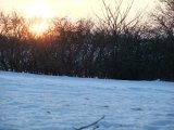 DSCF1295